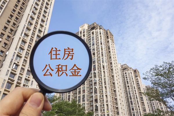 启东帮提取公积金是不是诈骗（那些帮人提取公积金的机构可信吗）